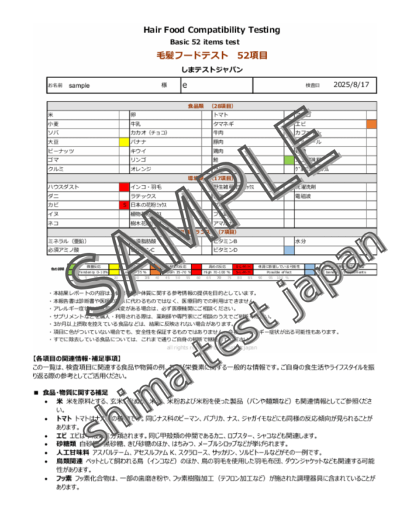 52項目テスト - 画像 (2)